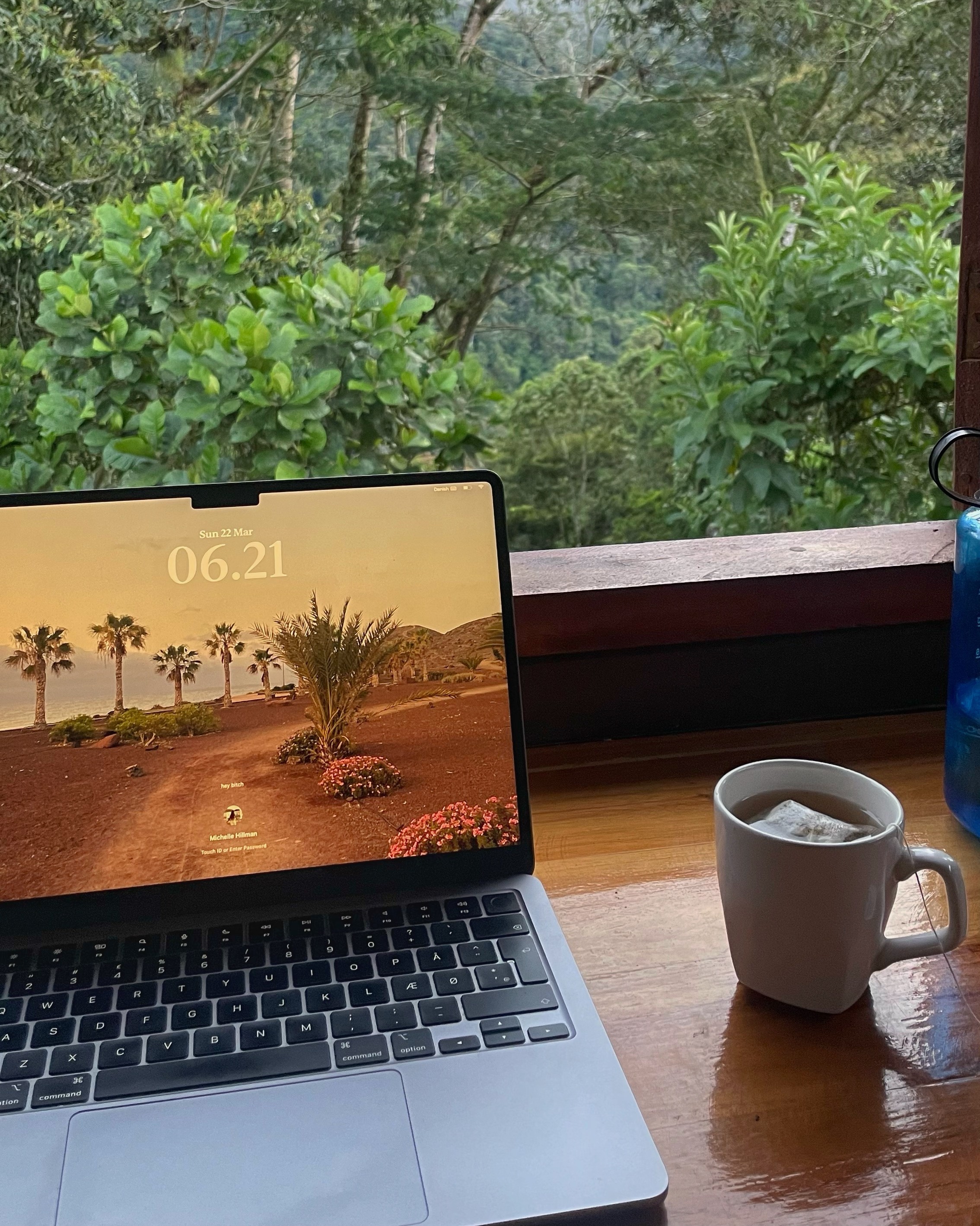 Working remotely with the cloud forest in the background at La Hesperia