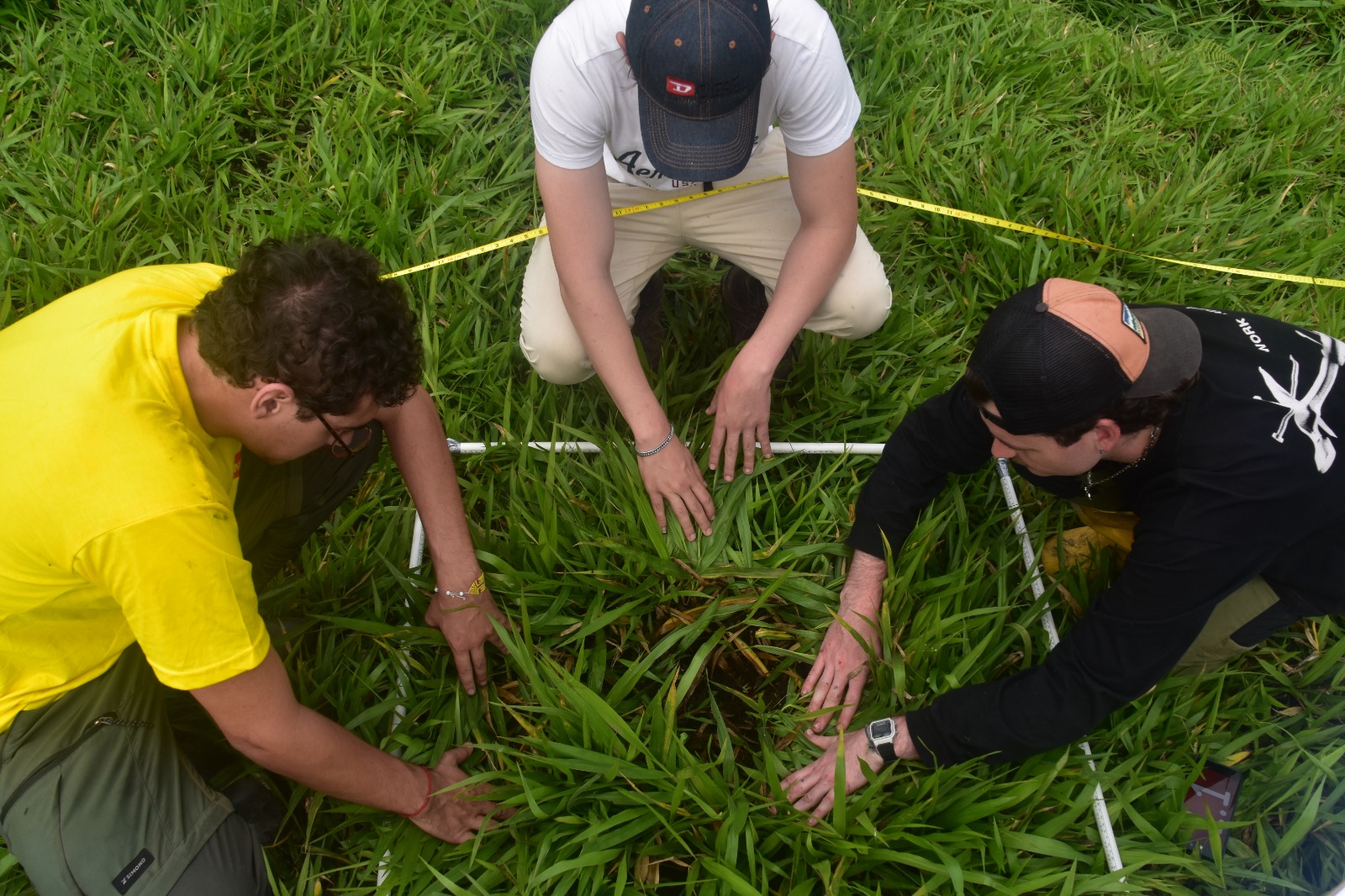 Researchers conducting fieldwork in the cloud forest at La Hesperia