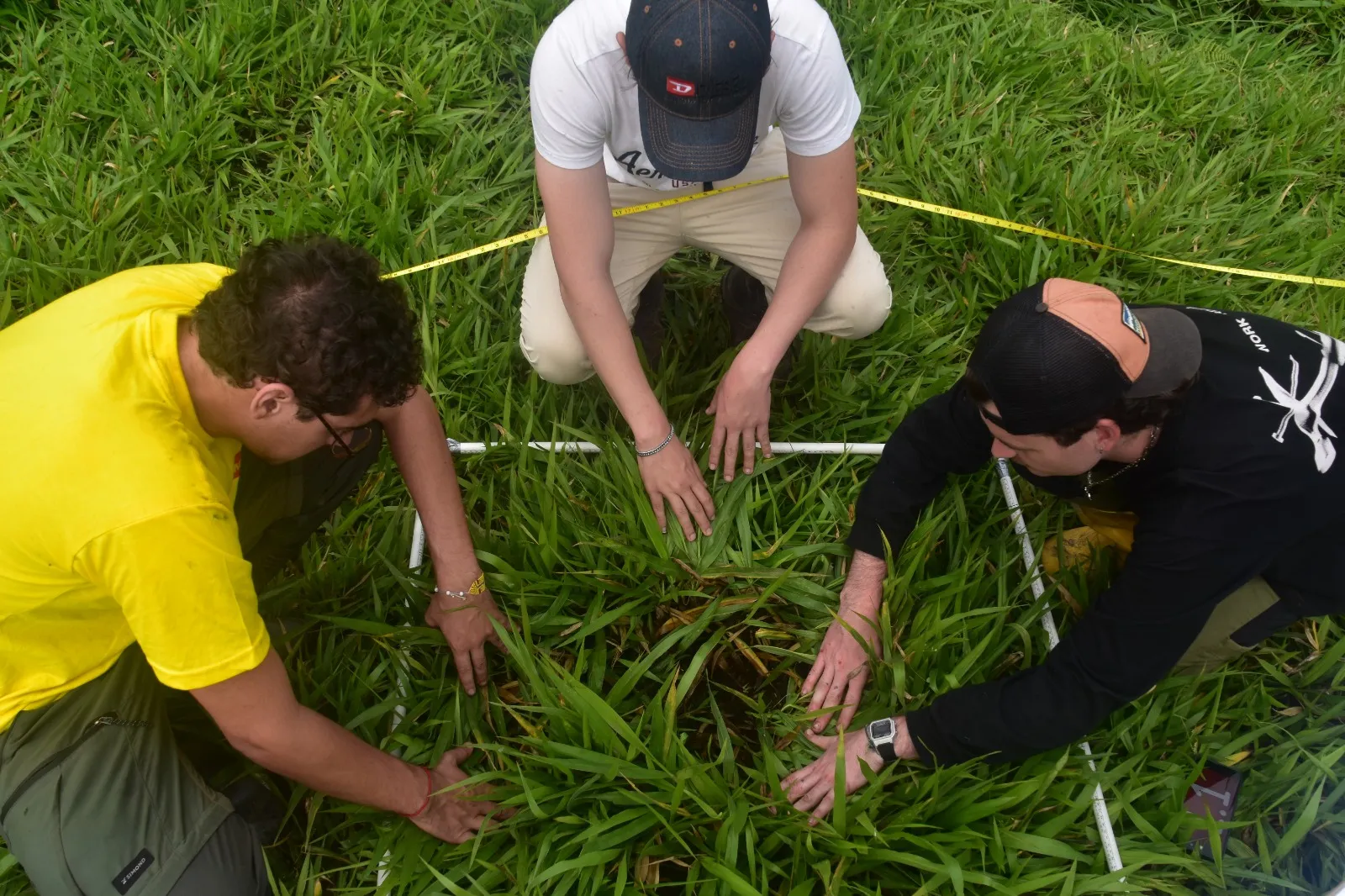 Researchers conducting fieldwork in the cloud forest at La Hesperia