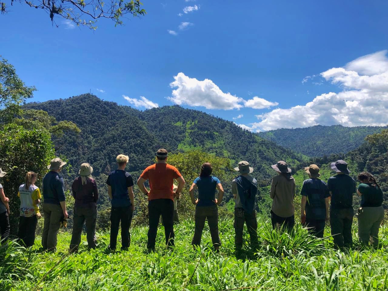 Volunteers looking out over the cloud forest at La Hesperia